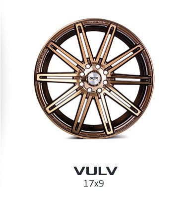 gisa-vulv