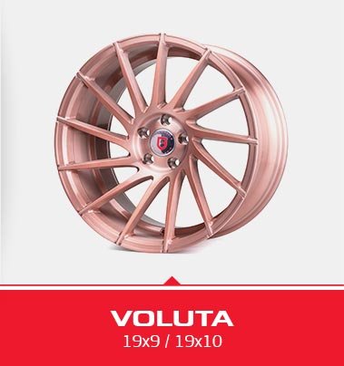 voluta1-sel